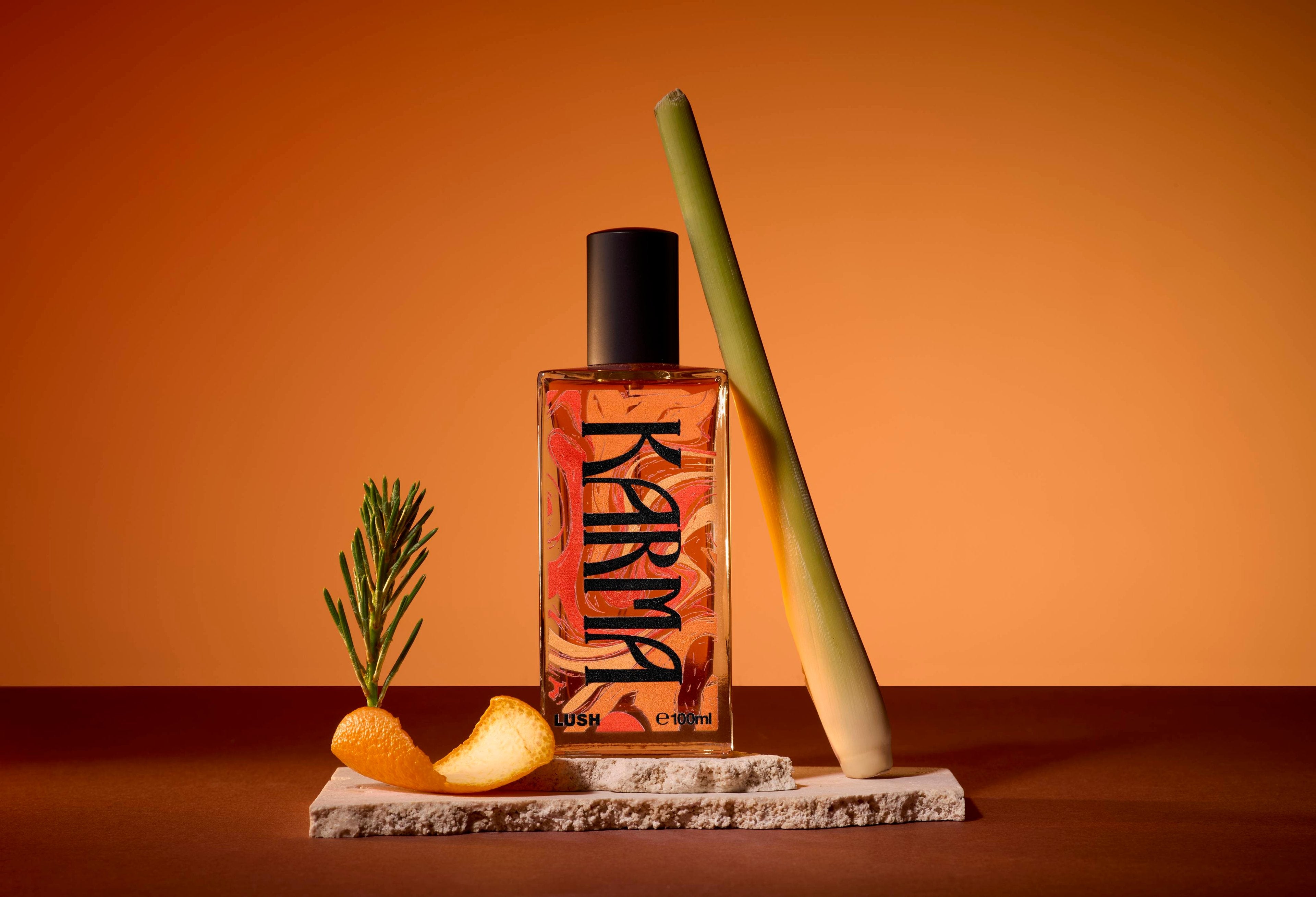 11A25D21-1421-2507-5947-021B0F75BB8D